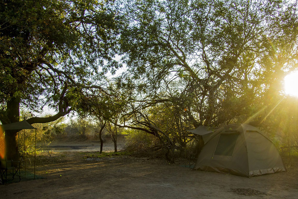 EcoTraining Accommodation on Pridelands