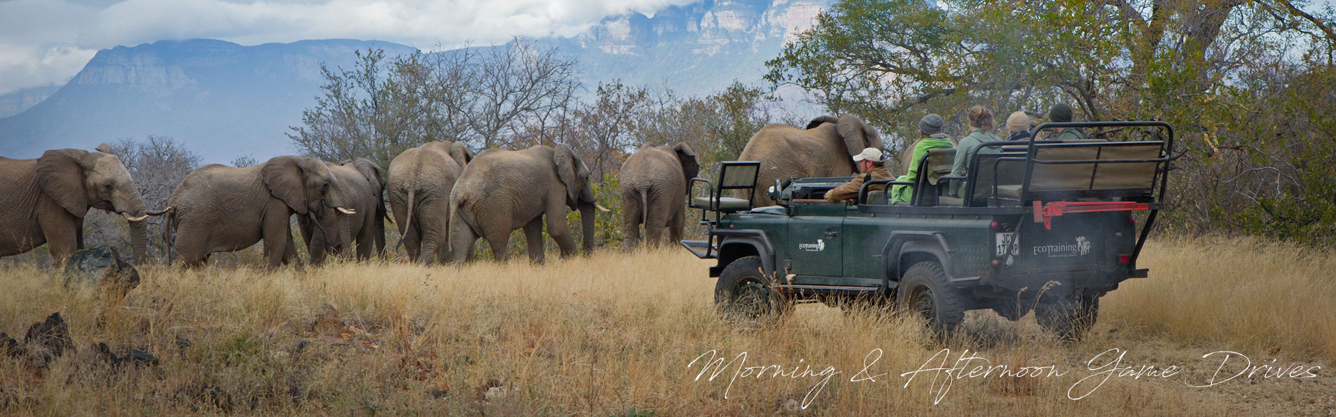Game Drive specials in Hoedspruit